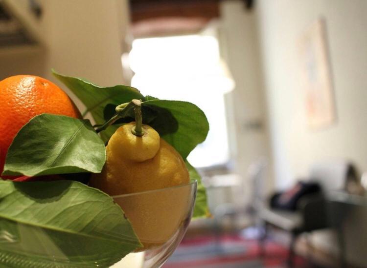Apartment Delicious Santa Croce Lucca